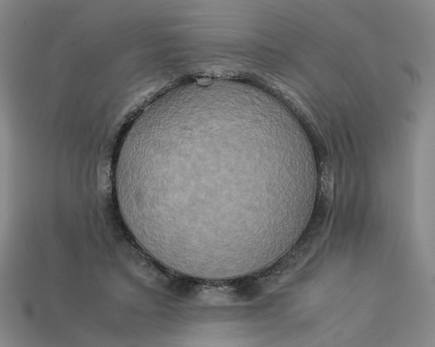 X0000113250403200910011350