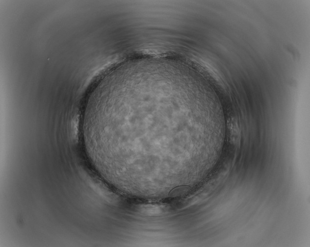 X0000113250404200910011350