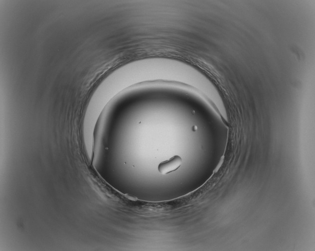 X0000113250405200910011350