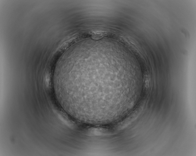 X0000113250408200910011350