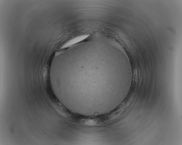 X0000113250412200910011350