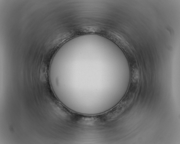 X0000113250414200910011350