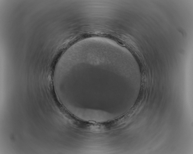 X0000113250415200910011350