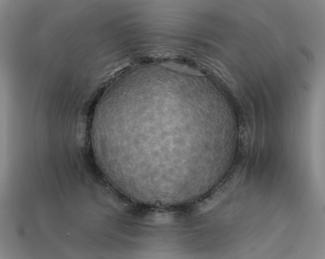 X0000113250416200910011350