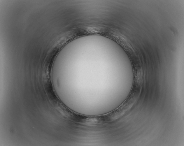 X0000113250418200910011350