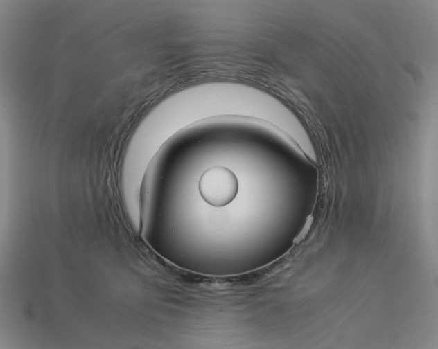 X0000113250419200910011350