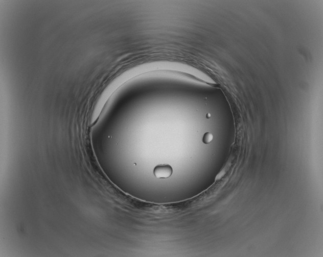 X0000113250421200910011350