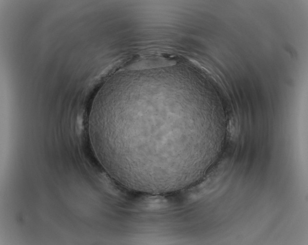 X0000113250424200910011350