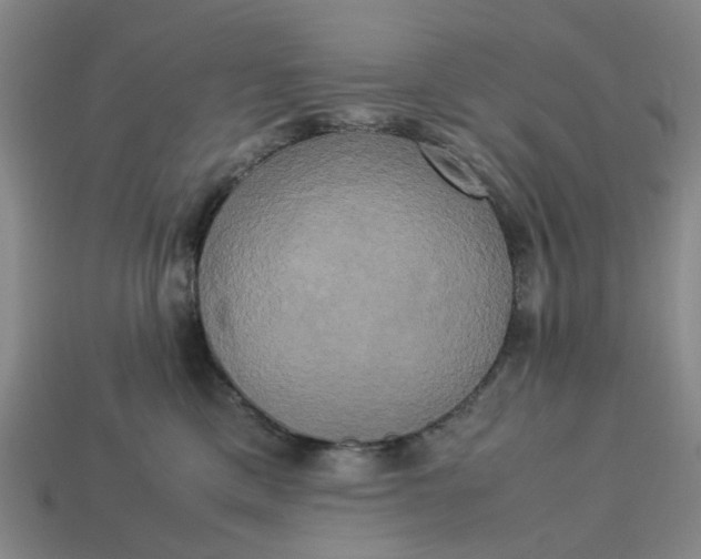 X0000113250425200910011350