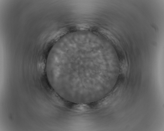 X0000113250427200910011350