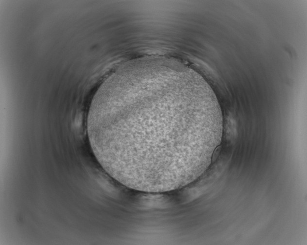 X0000113250428200910011350