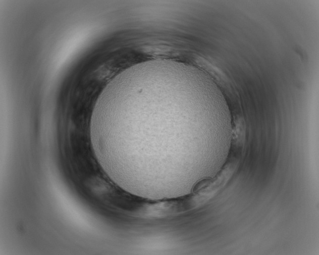 X0000113250430200910011350