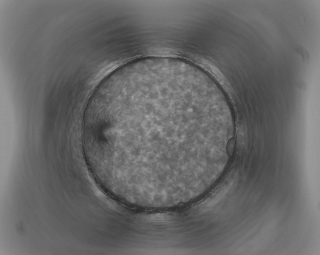 X0000113250433200910011349