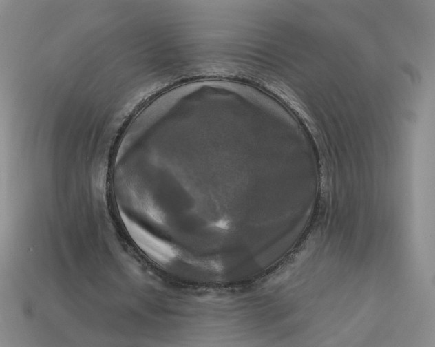 X0000113250434200910011349