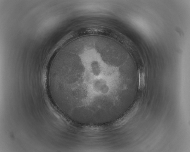 X0000113250435200910011349