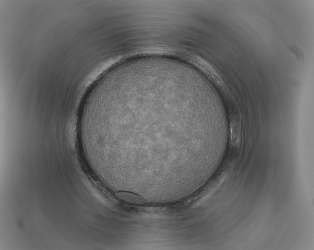 X0000113250436200910011349