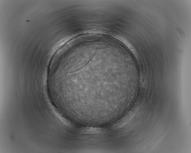 X0000113250437200910011349