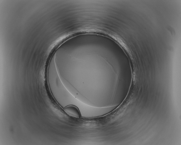 X0000113250438200910011349