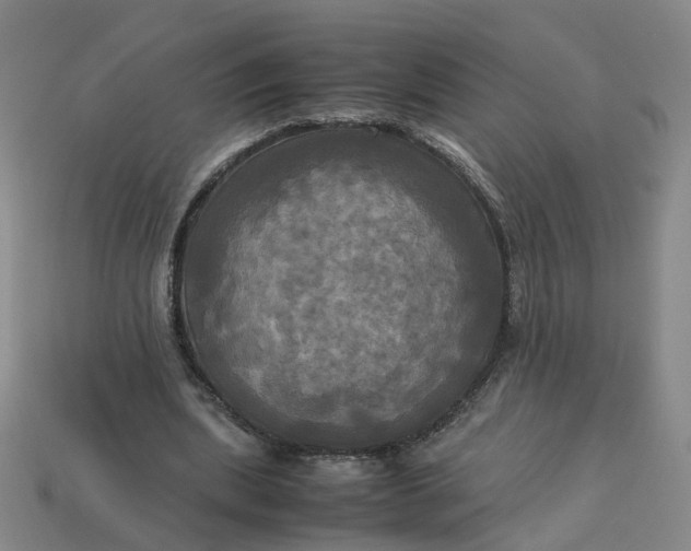 X0000113250439200910011349