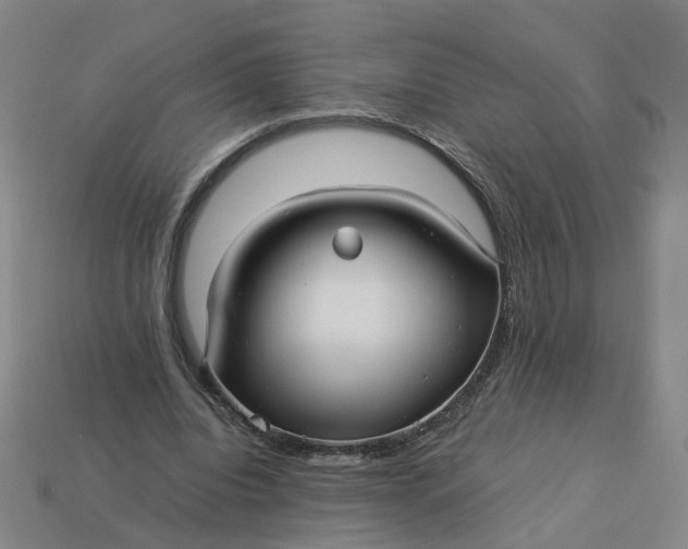 X0000113250440200910011349