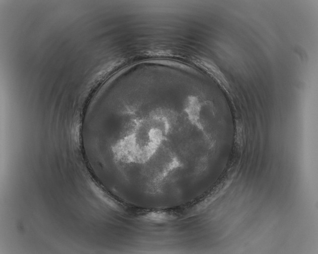 X0000113250441200910011349