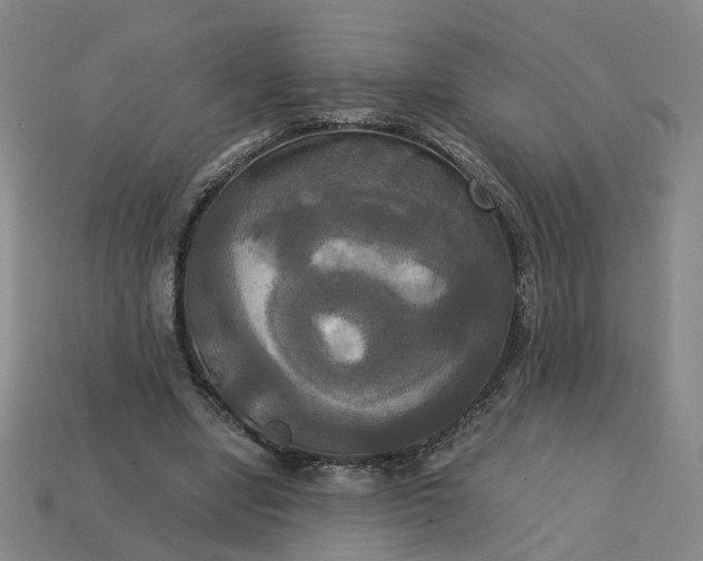 X0000113250442200910011349