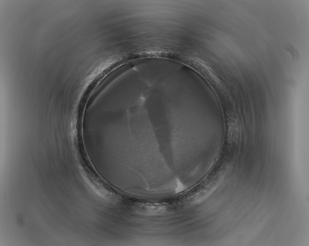 X0000113250443200910011349