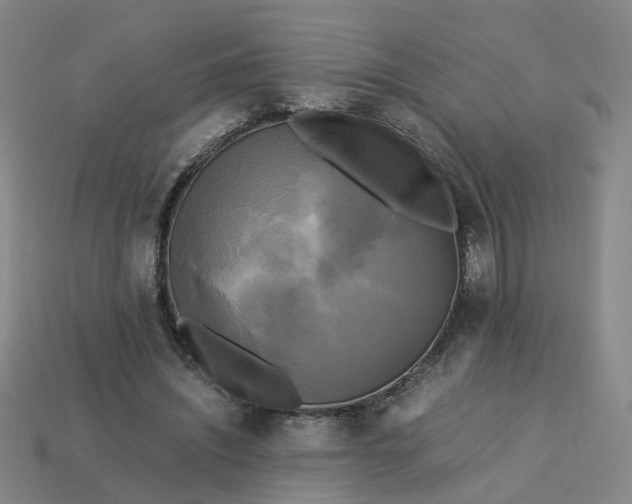 X0000113250444200910011349