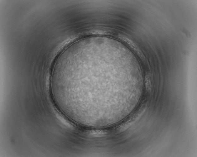 X0000113250445200910011349