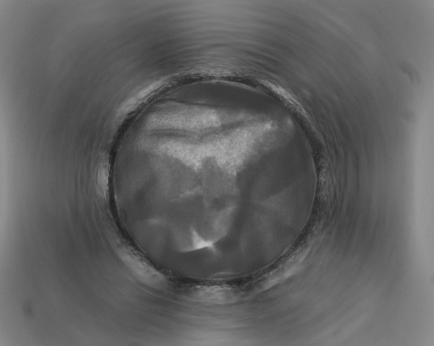 X0000113250446200910011349