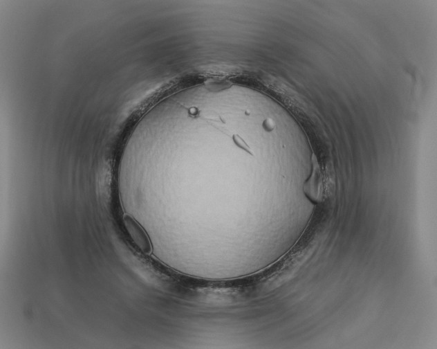 X0000113250448200910011349