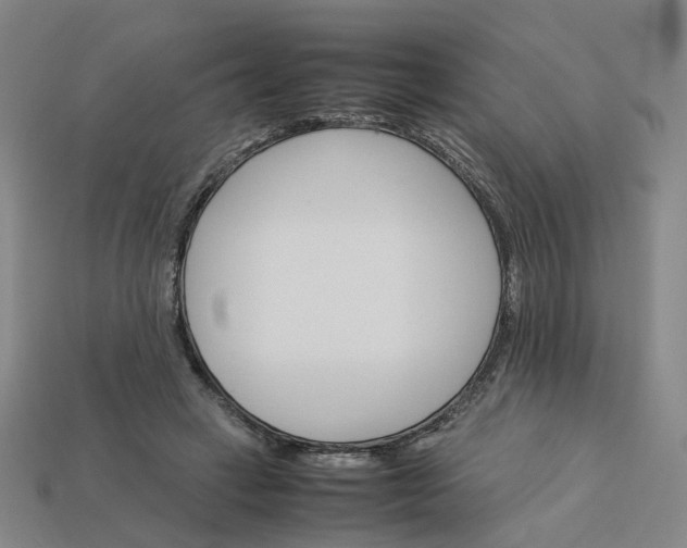 X0000113250449200910011349