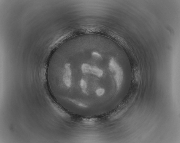 X0000113250450200910011349