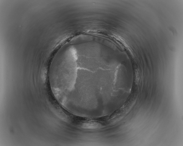 X0000113250451200910011349