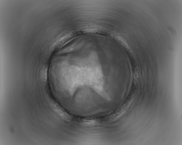 X0000113250454200910011349