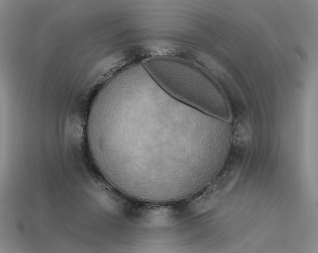 X0000113250456200910011349