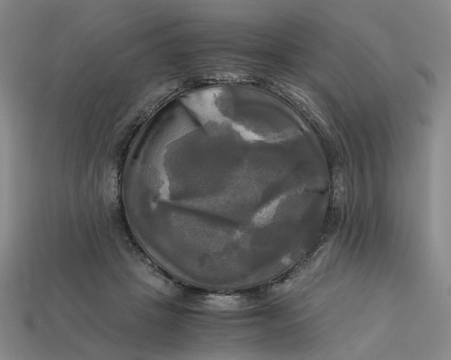 X0000113250457200910011350