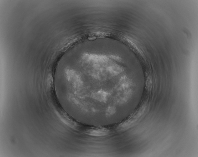 X0000113250459200910011350