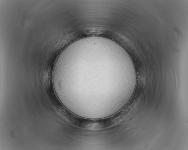 X0000113250460200910011350