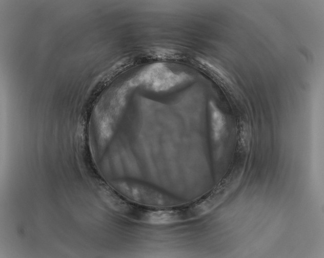 X0000113250461200910011350