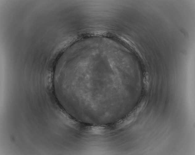 X0000113250462200910011350