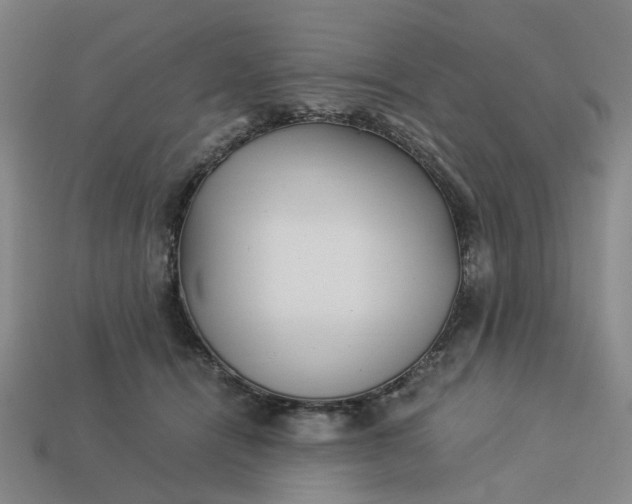 X0000113250464200910011350