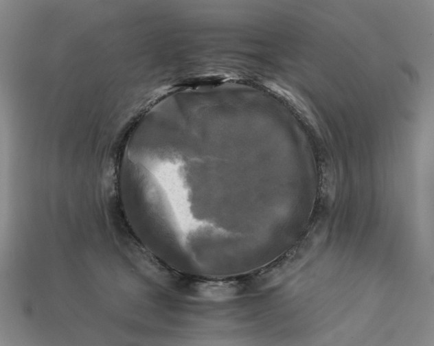 X0000113250465200910011350