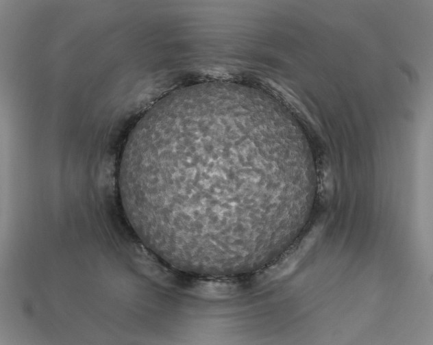 X0000113250466200910011350