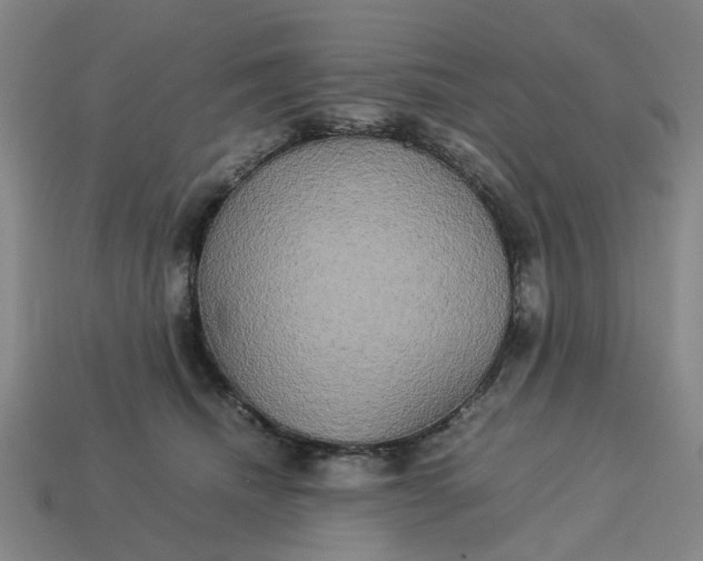 X0000113250468200910011350