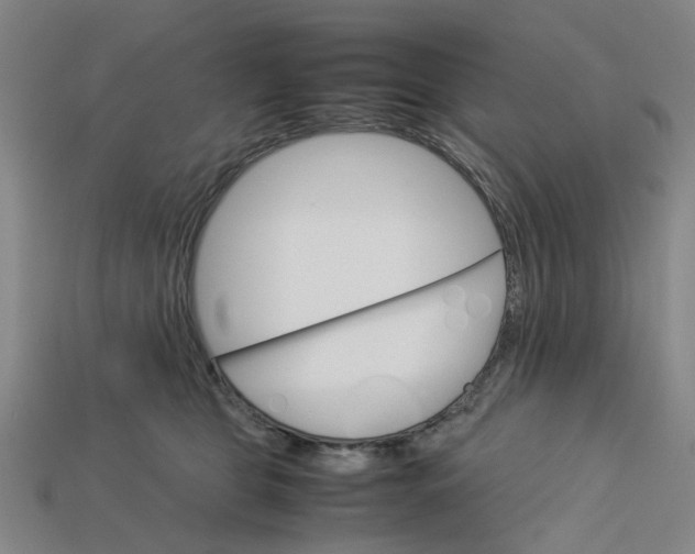 X0000113250469200910011350