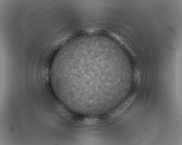 X0000113250470200910011350