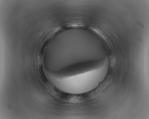 X0000113250471200910011350