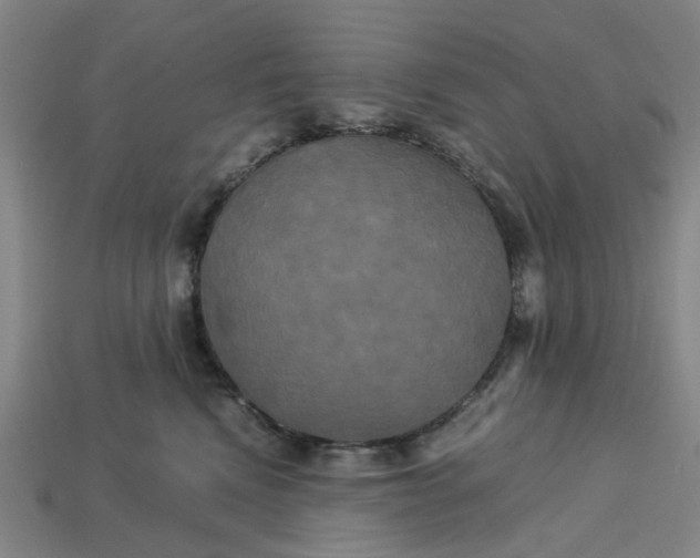 X0000113250472200910011350