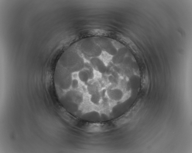 X0000113250473200910011350